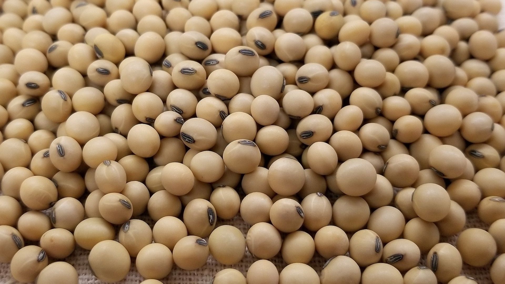 210713 Inspecties Meer dan 100 jaar ervaring met inspecties