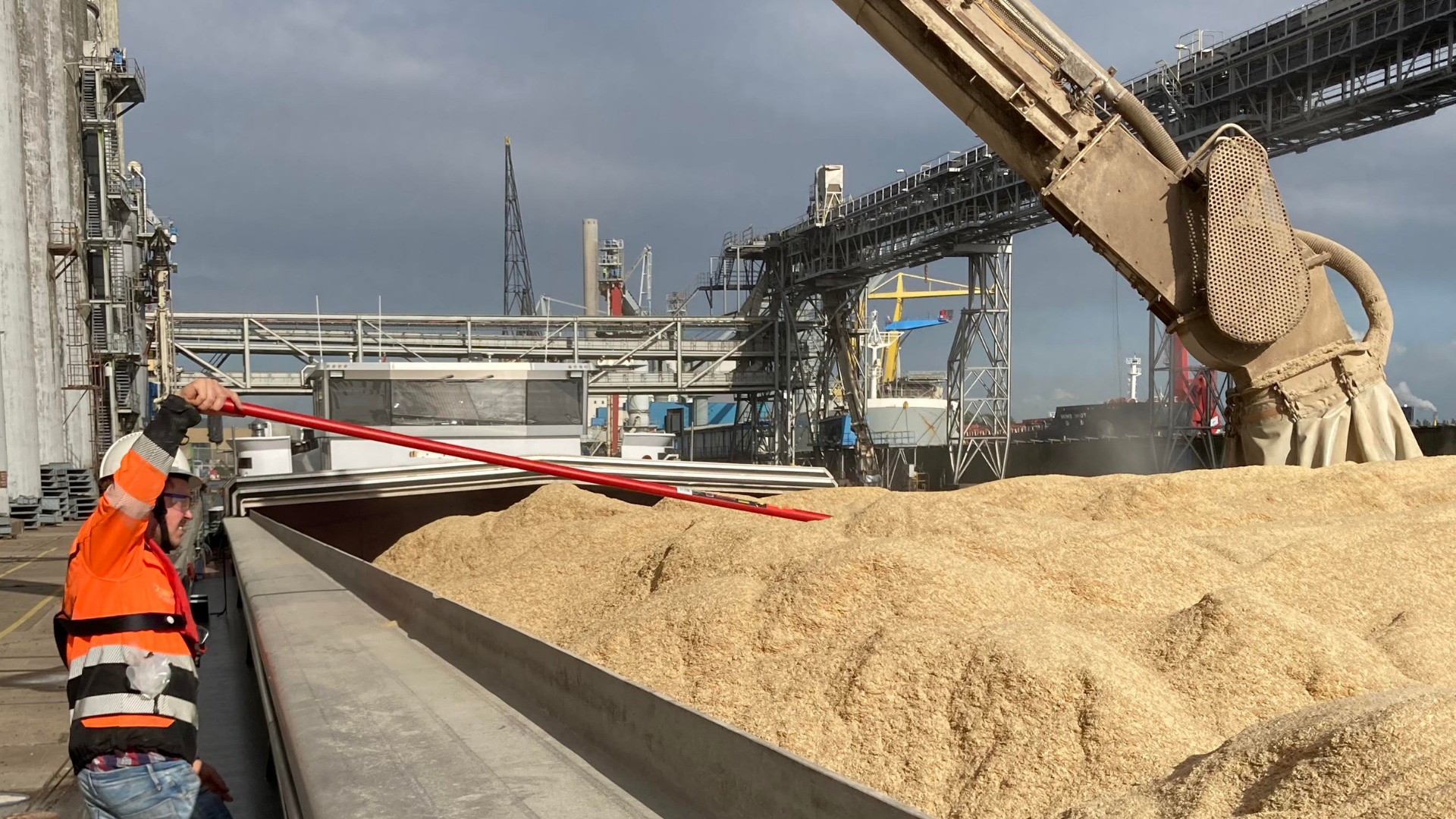 RVJ Cargo Inspections Established name RVJ Cargo Inspections